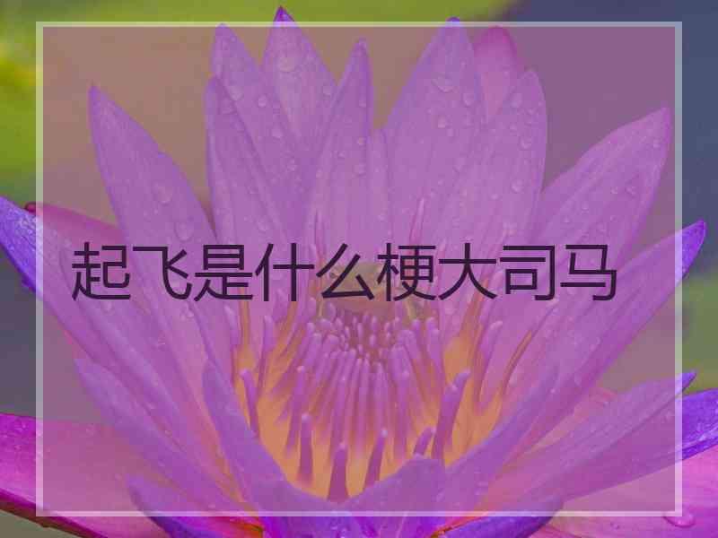 起飞是什么梗大司马