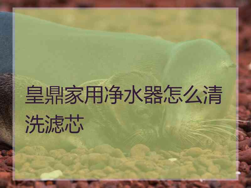 皇鼎家用净水器怎么清洗滤芯