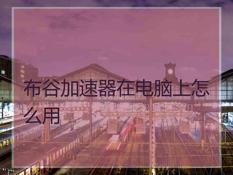 布谷加速器在电脑上怎么用