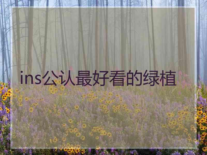 ins公认最好看的绿植