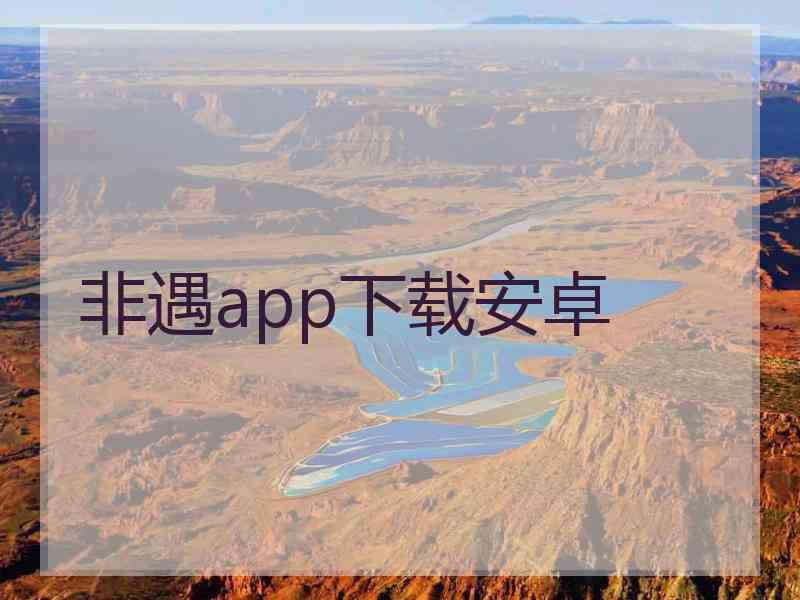 非遇app下载安卓