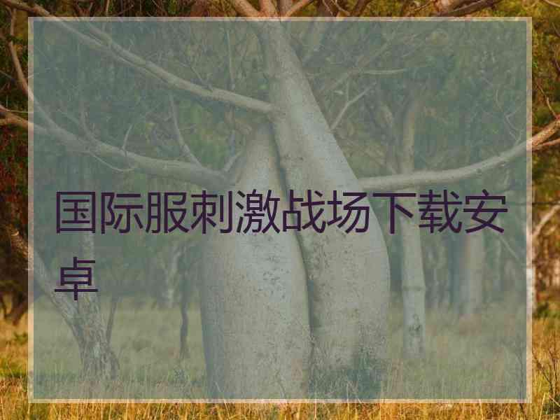 国际服刺激战场下载安卓
