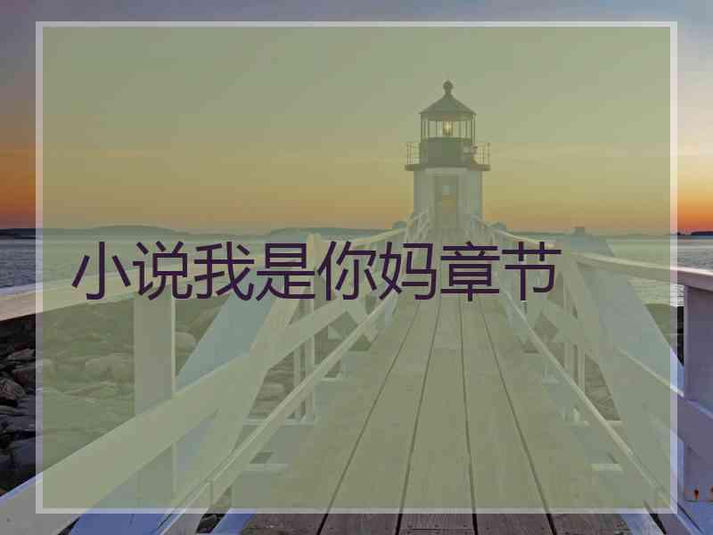 小说我是你妈章节