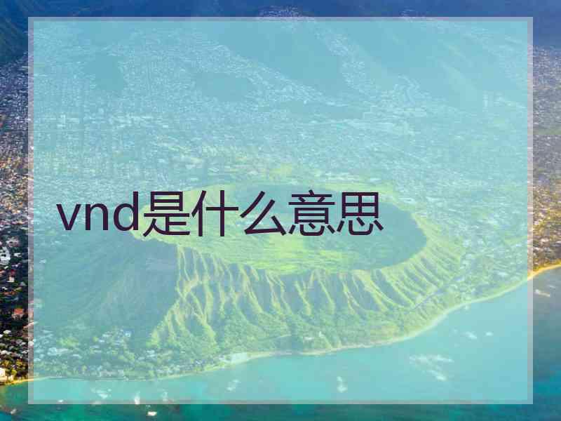 vnd是什么意思