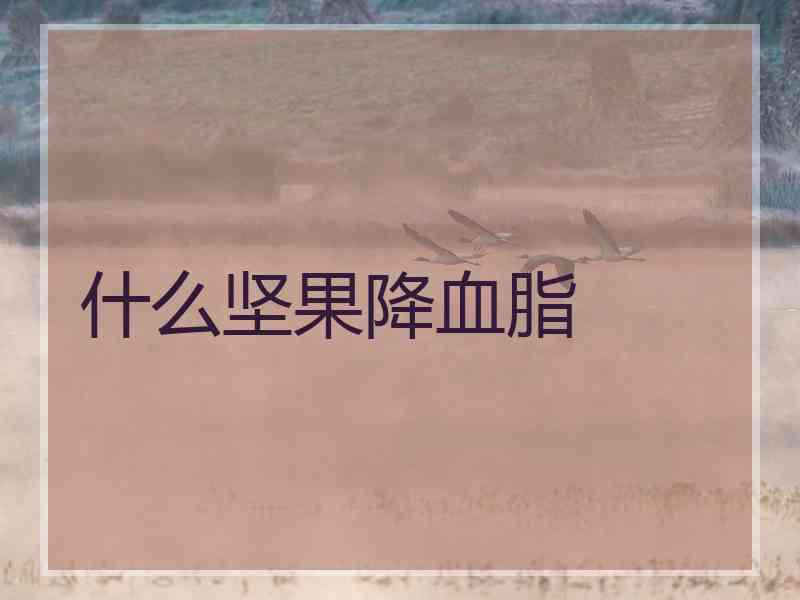 什么坚果降血脂