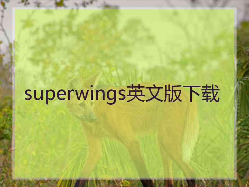 superwings英文版下载