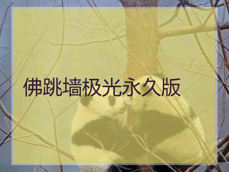 佛跳墙极光永久版