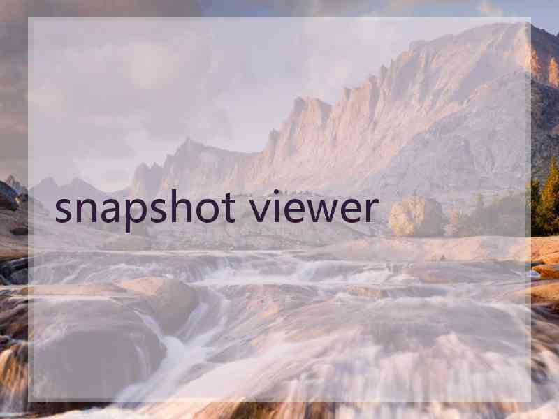 snapshot viewer