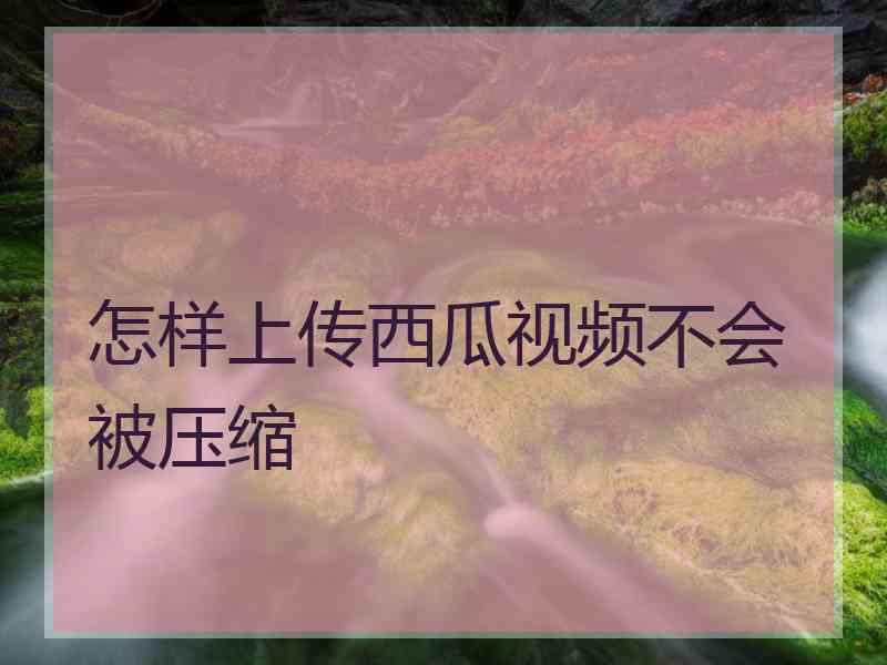 怎样上传西瓜视频不会被压缩