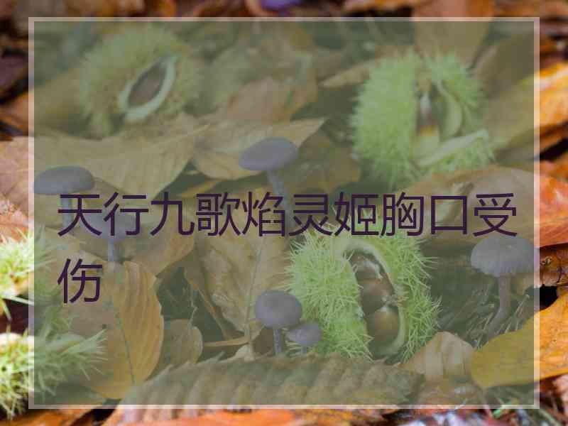 天行九歌焰灵姬胸口受伤