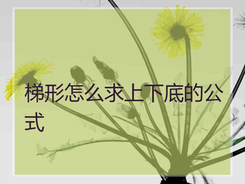 梯形怎么求上下底的公式