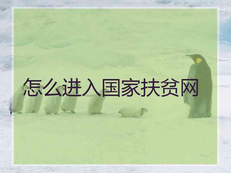怎么进入国家扶贫网