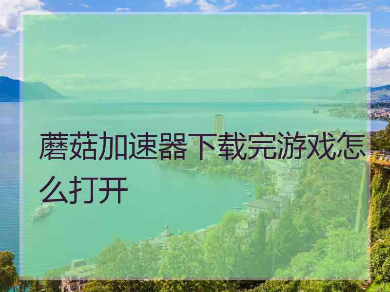 蘑菇加速器下载完游戏怎么打开