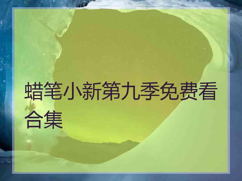 蜡笔小新第九季免费看合集
