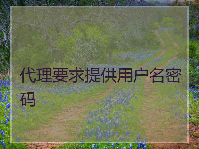 代理要求提供用户名密码