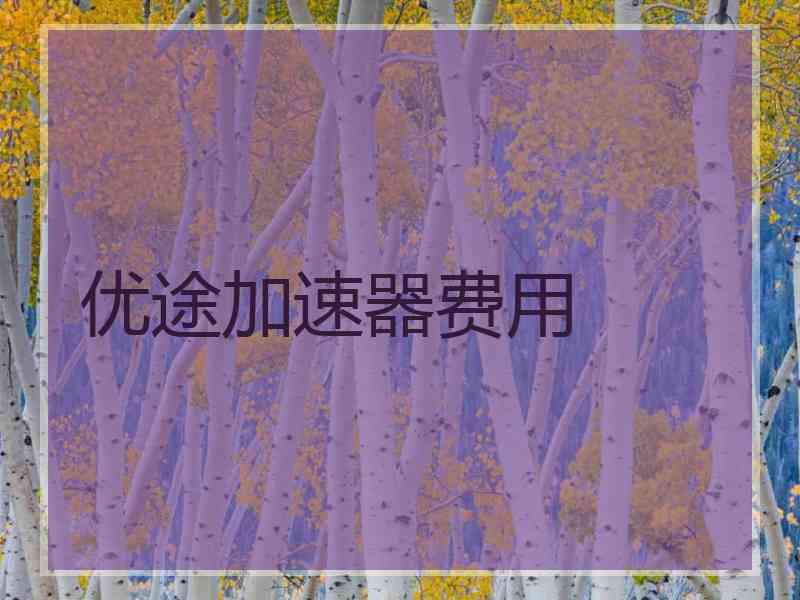 优途加速器费用