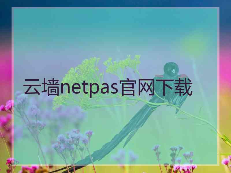 云墙netpas官网下载