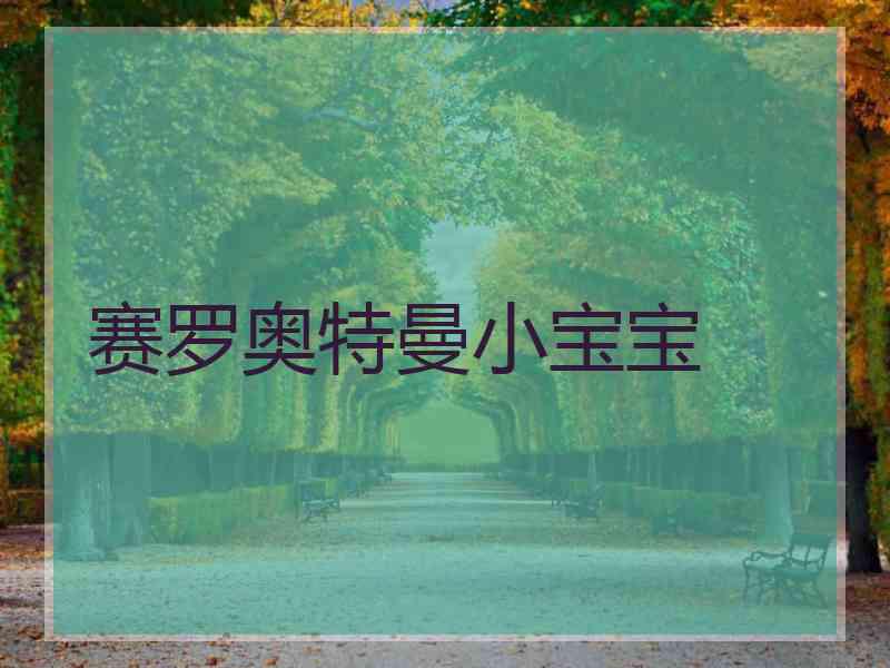赛罗奥特曼小宝宝