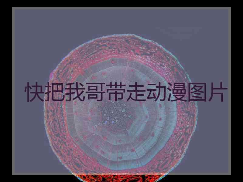 快把我哥带走动漫图片