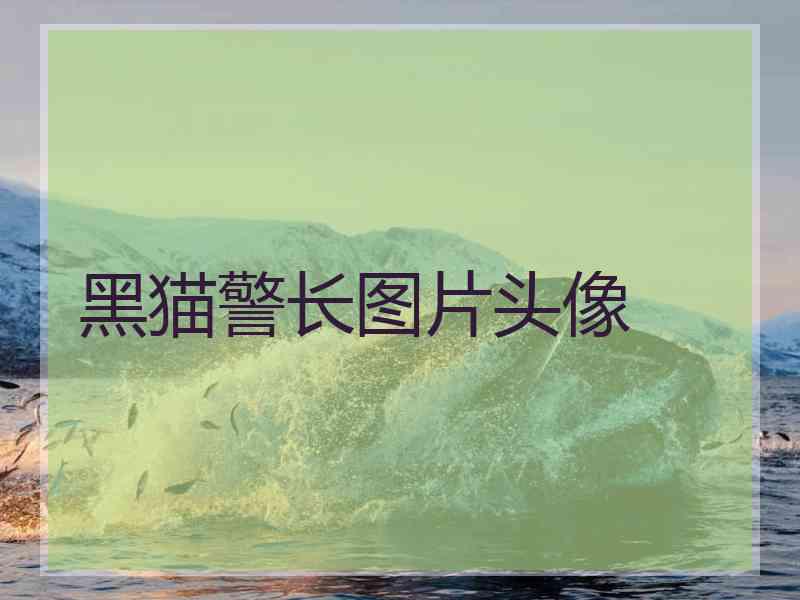 黑猫警长图片头像