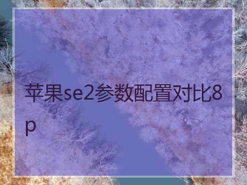 苹果se2参数配置对比8p