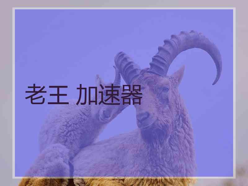 老王 加速器