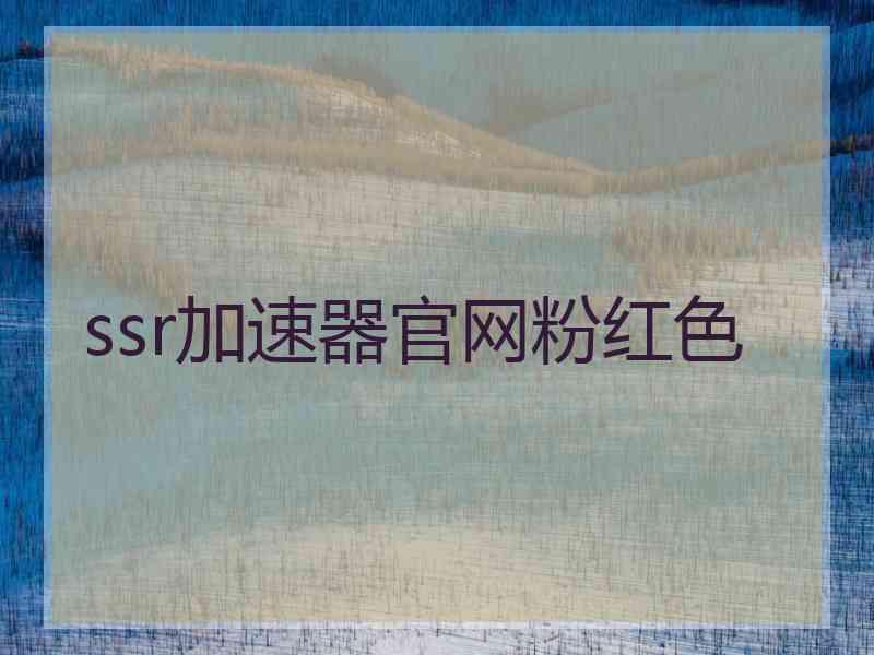 ssr加速器官网粉红色