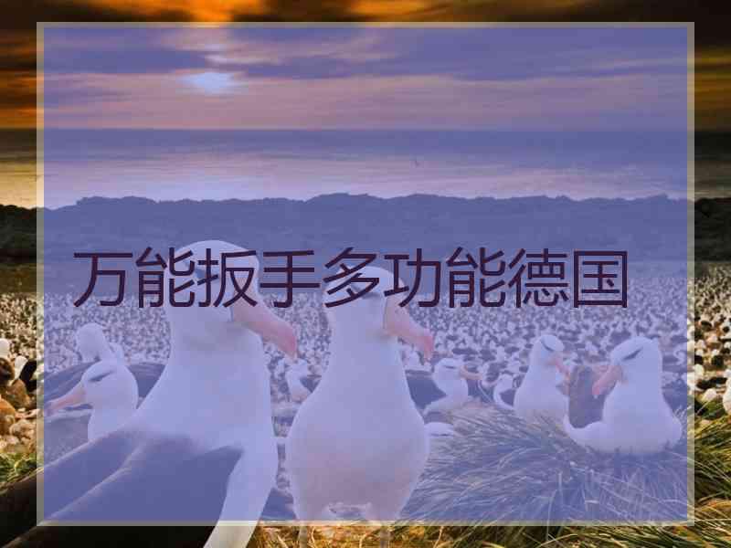 万能扳手多功能德国