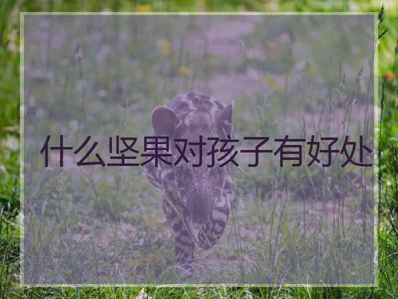 什么坚果对孩子有好处
