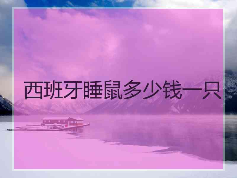 西班牙睡鼠多少钱一只