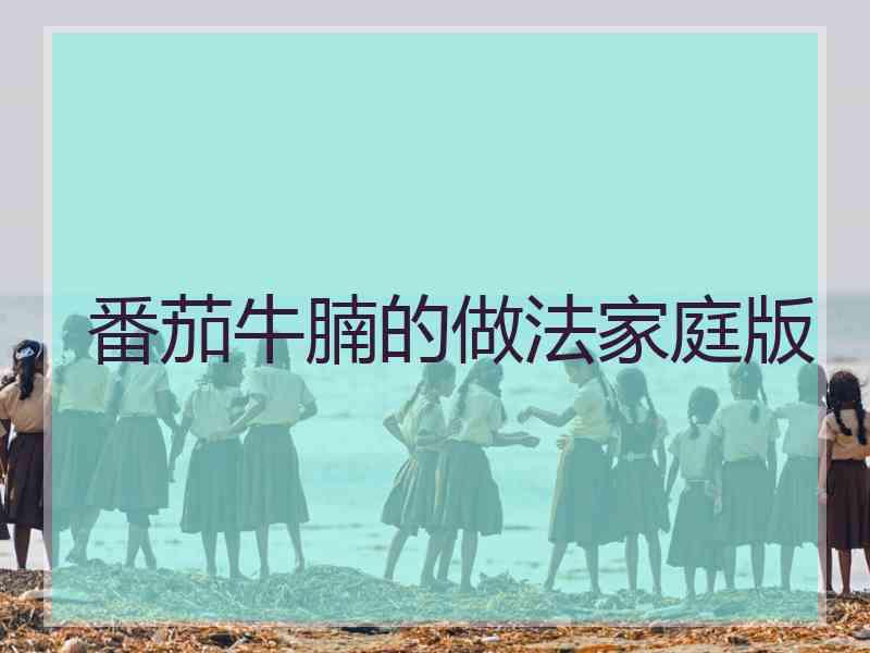 番茄牛腩的做法家庭版