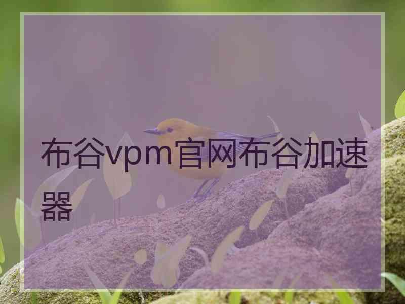 布谷vpm官网布谷加速器