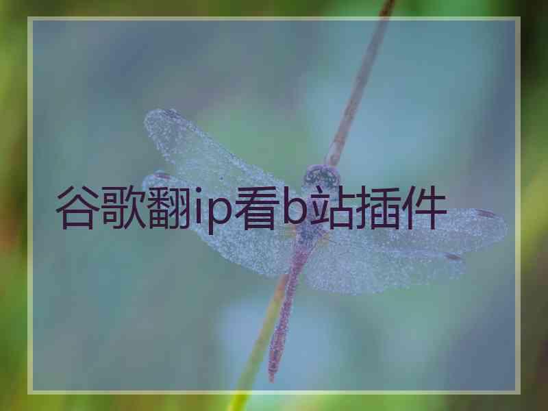 谷歌翻ip看b站插件