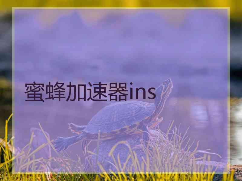 蜜蜂加速器ins