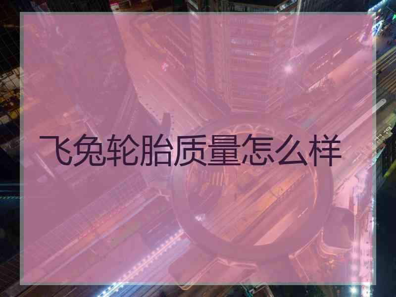 飞兔轮胎质量怎么样