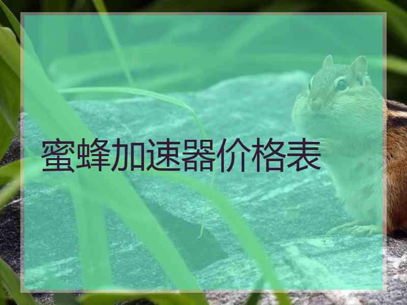 蜜蜂加速器价格表