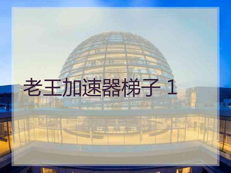 老王加速器梯子 1