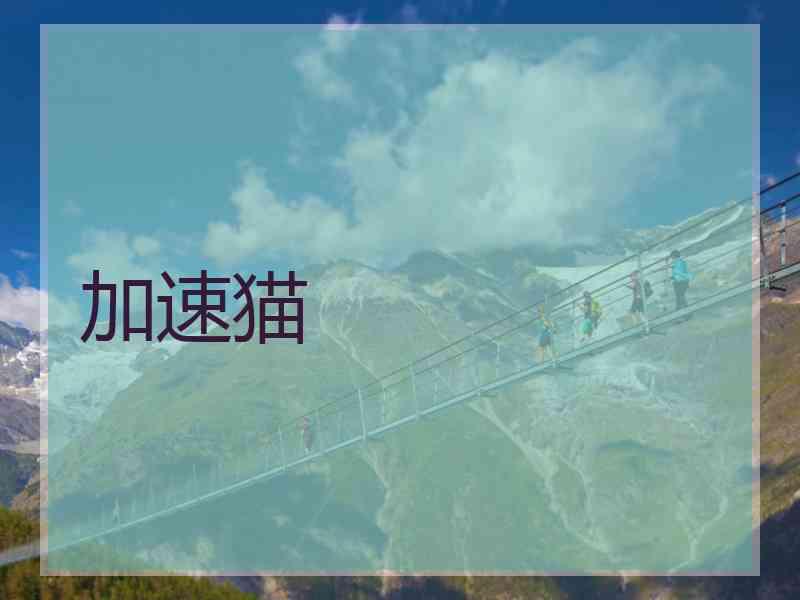 加速猫