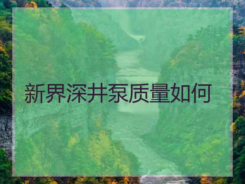 新界深井泵质量如何