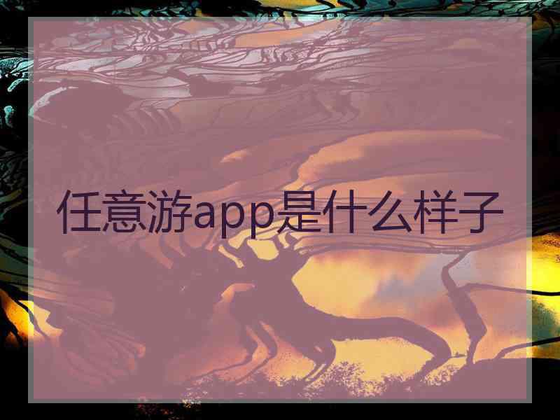 任意游app是什么样子
