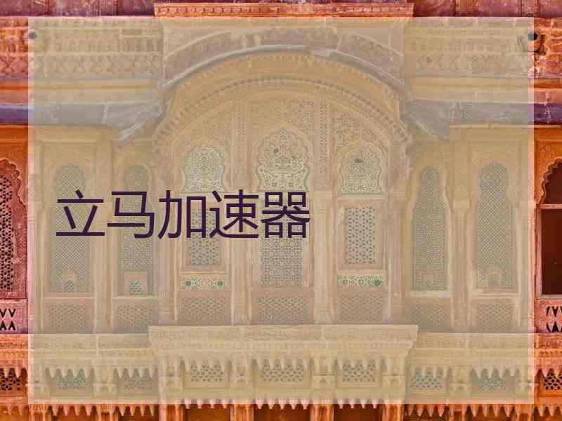 立马加速器