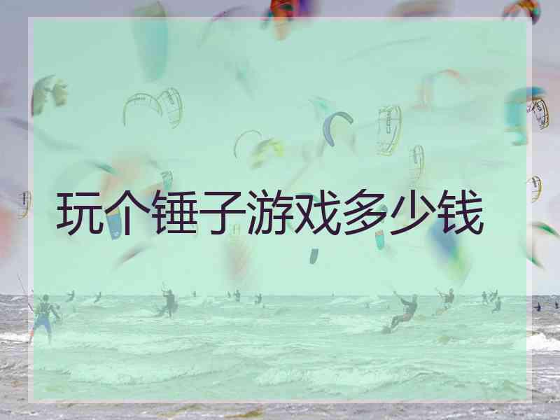 玩个锤子游戏多少钱