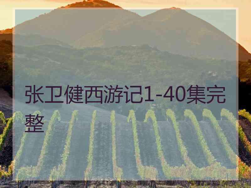 张卫健西游记1-40集完整