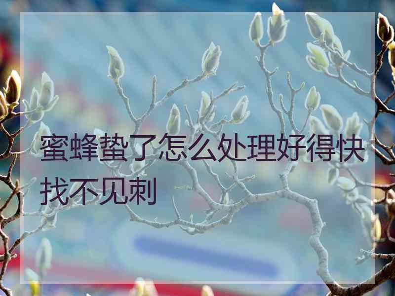 蜜蜂蛰了怎么处理好得快找不见刺