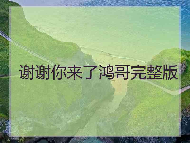 谢谢你来了鸿哥完整版