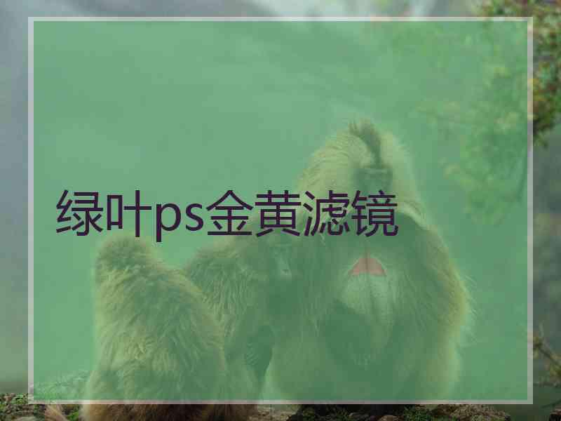 绿叶ps金黄滤镜