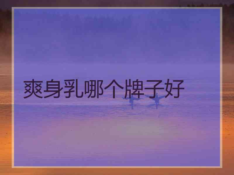 爽身乳哪个牌子好