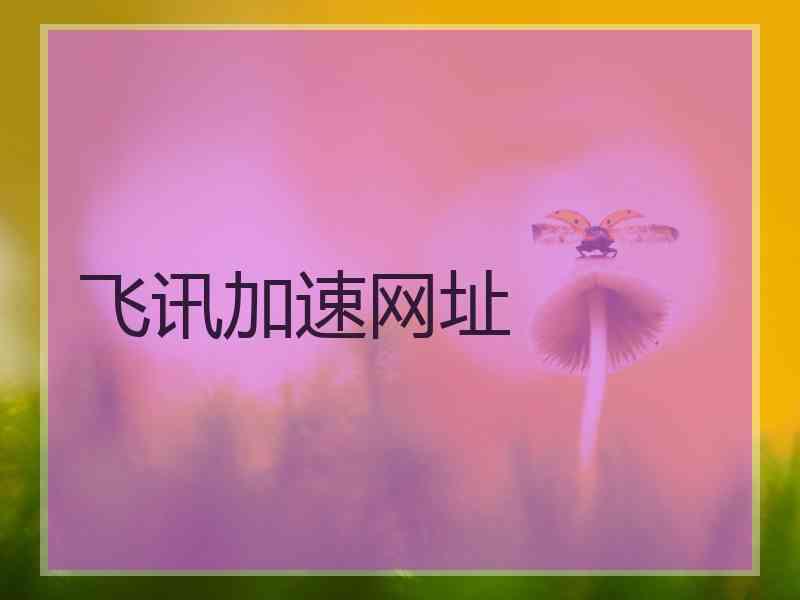 飞讯加速网址
