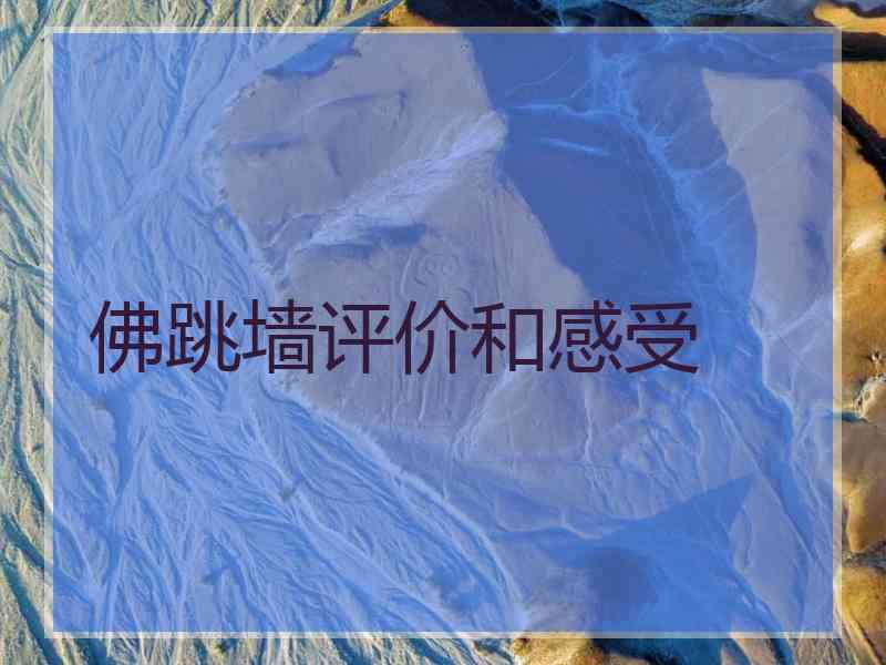 佛跳墙评价和感受
