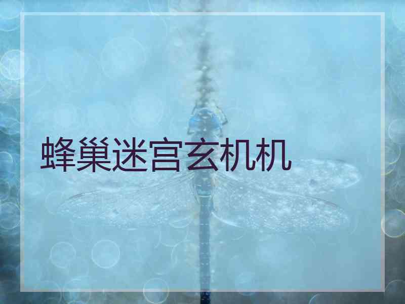 蜂巢迷宫玄机机